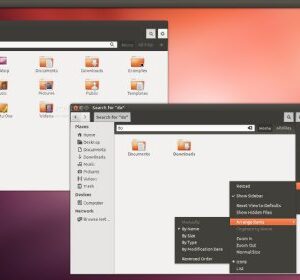 Ubuntu Linux 14.04 "Trusty Tahr" 32-Bit Edition DVD