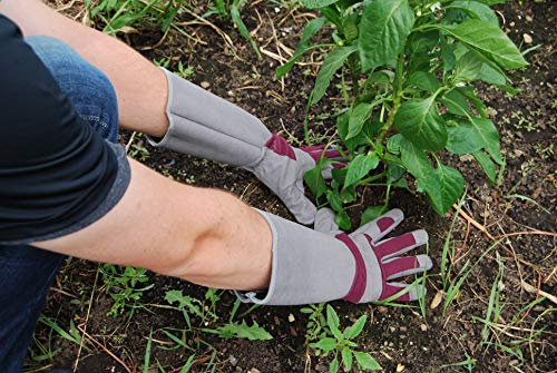 MAGID Professional Rose Pruning Thorn Proof Gardening Gloves with Extra Long Forearm Protection for Women (TE195T-S) - Puncture Resistant, Grey & Maroon, 6/XS (1 Pair)