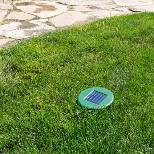 Good Life, Inc. Solar Safeguard | Solar Powered Mole, Gopher & Vole Repeller | Ultrasonic Sounds & Vibrations | Large Coverage Area | Water & Weather Resistant