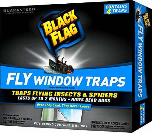 Black Flag Fly Trap