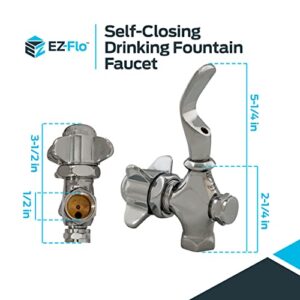 EZ-FLO 1/2 Inch IPS Self-Closing Drinking Fountain Faucet, Chrome, 10341LF