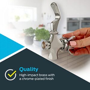 EZ-FLO 1/2 Inch IPS Self-Closing Drinking Fountain Faucet, Chrome, 10341LF
