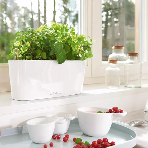 Lechuza 15460 Delta 10 Indoor and Outdoor Use, 12" x 4" x 5", Self Watering Planter, 30cm, White High Gloss