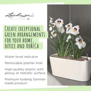 Lechuza 15460 Delta 10 Indoor and Outdoor Use, 12" x 4" x 5", Self Watering Planter, 30cm, White High Gloss