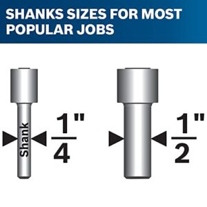 BOSCH RBS010 10-Piece 1/2 In. and 1/4 In. Shank Carbide-Tipped All-Purpose Professional Router Bits Assorted Set with Case for Applications in Straight, Trimming, Decorative Edging, Dovetail Joinery