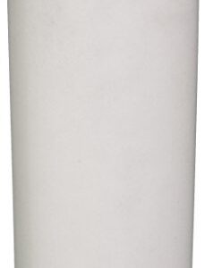 Pentair Pentek RFFE10-BB Big Blue Water Filter, 10-Inch, Whole House Radial Flow Iron Reduction Replacement Cartridge, 10" x 4.5"