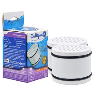 culligan whr-140 replacement shower filter cartridge for wsh-c125, hsh-c135, ish-100 shower units (2 pack)