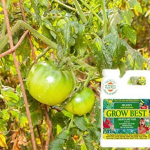 Grow Best 8-8-8 Liquid Plant Food