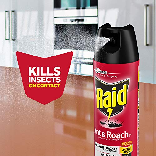 Raid Ant & Roach Killer Spray For Listed Bugs, Keeps Killing for Weeks, Fresh Scent, 17.5 oz