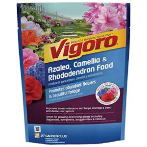 vigoro 3.5 lb. azalea, camellia and rhododendron plant food