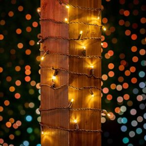 Novelty Lights Warm White LED Christmas String Lights - UL Listed Indoor/Outdoor Light Set w/ 100 Mini Bulbs for Christmas Tree, Patio, Wedding Decor, and More - (Brown Wire, 34' Long)