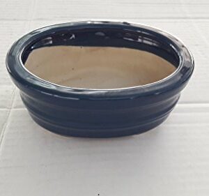 Oval blue Ceramic Bonsai Pot - Japanese Houtoku Brand - 5'' L / 4'' W / 2'' H