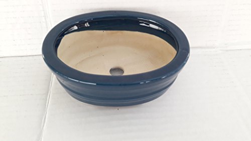 Oval blue Ceramic Bonsai Pot - Japanese Houtoku Brand - 5'' L / 4'' W / 2'' H