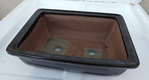 Ceramic Bonsai Pots - Japanese Jmbamboo Brand - Black Ceramic Pot Is 8x6 x3''