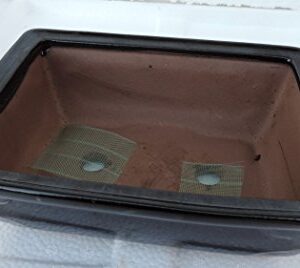 Ceramic Bonsai Pots - Japanese Jmbamboo Brand - Black Ceramic Pot Is 8x6 x3''