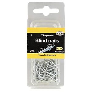 fastcap steel blindnail double-ended nail kit - great for furniture, picture frames, molding and trim work - 3/16" x 3/8", 100-pack - 80561