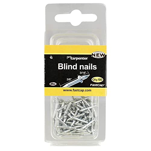 FastCap Steel BlindNail Double-Ended Nail Kit - Great for Furniture, Picture Frames, Molding and Trim Work - 3/16" x 3/8", 100-Pack - 80561