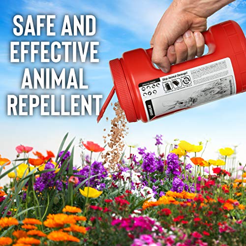 Mole & Vole Animal Stopper Granular Repellent - Safe & Effective, All Natural Food Grade Ingredients; Repels Moles and Voles; Ready to Use, 2.5 lb Shaker Jug