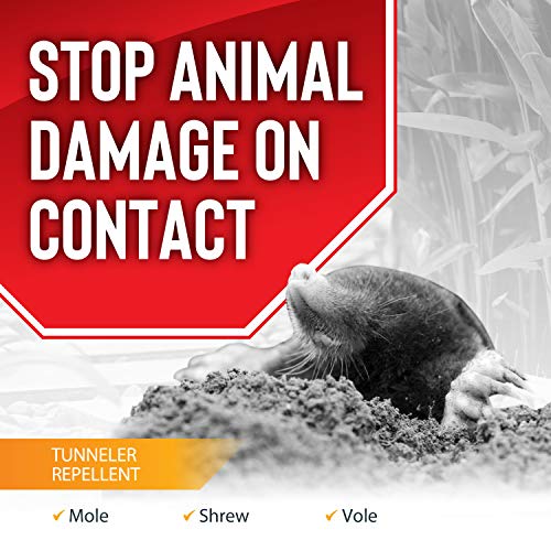 Mole & Vole Animal Stopper Granular Repellent - Safe & Effective, All Natural Food Grade Ingredients; Repels Moles and Voles; Ready to Use, 2.5 lb Shaker Jug