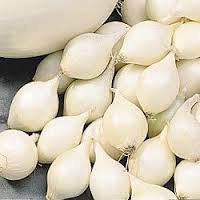 White Onion Sets, 60-80 Bulbs