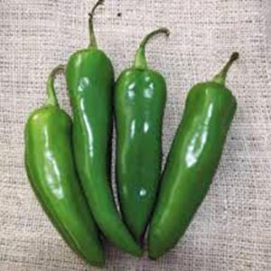 pepper, anaheim, heirloom, 100 seeds, mildly spicy great fresh or dried