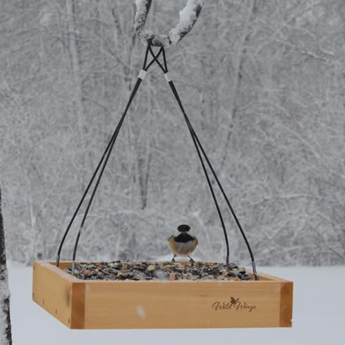 Wild Wings WWCF23 Cedar Tray Bird Feeder