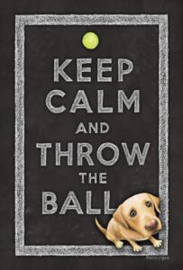 toland home garden 109782 keep calm and throw the ball dog flag 28x40 inch double sided dog garden flag for outdoor house puppy flag yard decoration