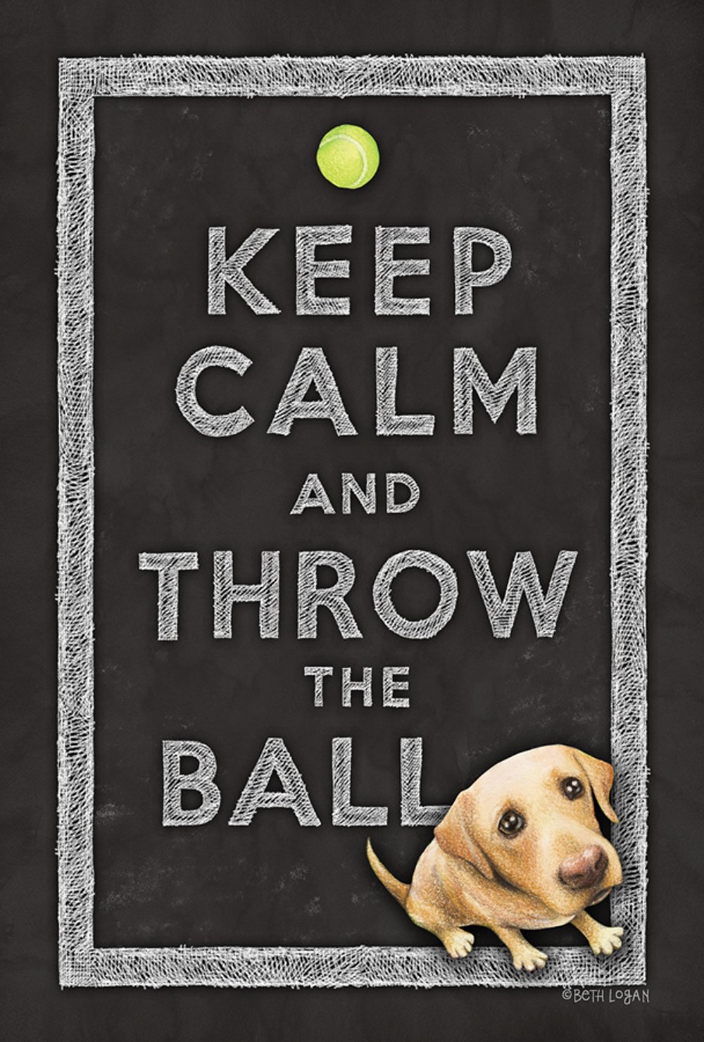 Toland Home Garden 109782 Keep Calm And Throw The Ball Dog Flag 28x40 Inch Double Sided Dog Garden Flag for Outdoor House Puppy Flag Yard Decoration