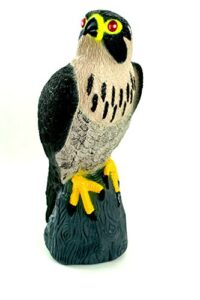 bird-x falcon predator decoy bird scare