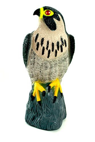 Bird-X Falcon Predator Decoy Bird Scare