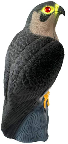 Bird-X Falcon Predator Decoy Bird Scare