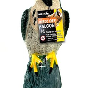 Bird-X Falcon Predator Decoy Bird Scare