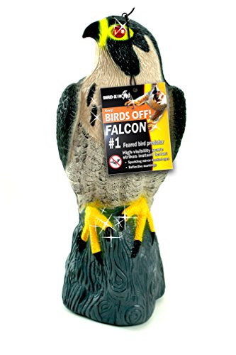 Bird-X Falcon Predator Decoy Bird Scare