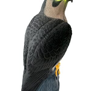 Bird-X Falcon Predator Decoy Bird Scare