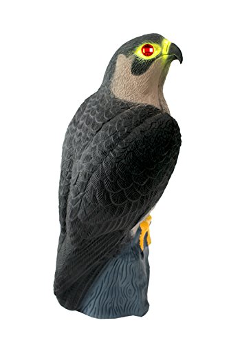 Bird-X Falcon Predator Decoy Bird Scare