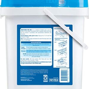 CLOROX Pool&Spa XtraBlue 3” Chlorinating Tablets, Kills Bacteria & Stops Algae, 12 LB