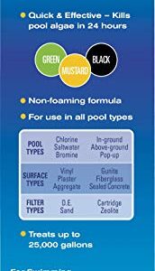 Clorox Pool&Spa XtraBlue Algaecide 40 oz