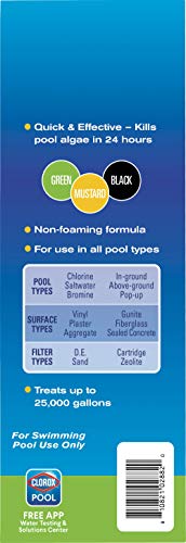 Clorox Pool&Spa XtraBlue Algaecide 40 oz