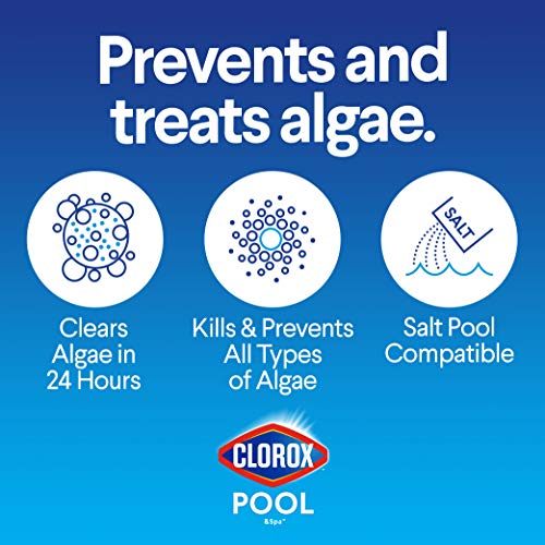 Clorox Pool&Spa XtraBlue Algaecide 40 oz