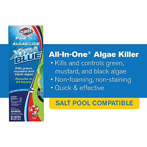 Clorox Pool&Spa XtraBlue Algaecide 40 oz