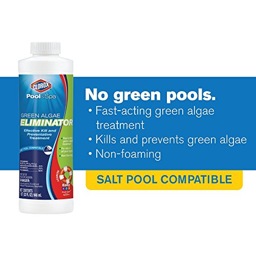 Clorox Pool&Spa Green Algae Eliminator2 32 oz