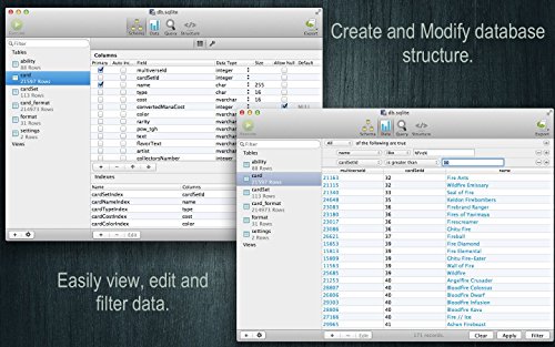 SQLite Professional Read Only [Download]