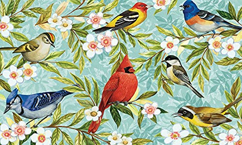 Toland Home Garden 800046 Bird Collage Spring Door Mat 18x30 Inch Bird Outdoor Doormat for Entryway Indoor Entrance