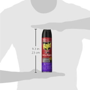 Raid Ant & Roach Killer Spray For Listed Bugs, Keeps Killing for Weeks, Lavender Scent 12 Ounce (Pack of 1)