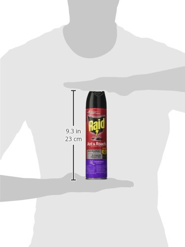 Raid Ant & Roach Killer Spray For Listed Bugs, Keeps Killing for Weeks, Lavender Scent 12 Ounce (Pack of 1)