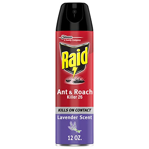 Raid Ant & Roach Killer Spray For Listed Bugs, Keeps Killing for Weeks, Lavender Scent 12 Ounce (Pack of 1)