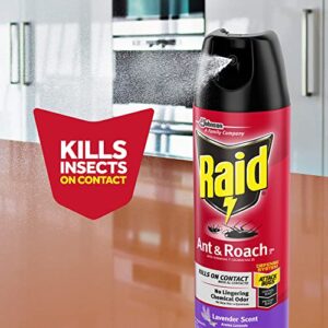 Raid Ant & Roach Killer Spray For Listed Bugs, Keeps Killing for Weeks, Lavender Scent 12 Ounce (Pack of 1)