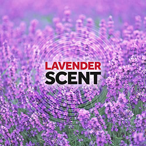 Raid Ant & Roach Killer Spray For Listed Bugs, Keeps Killing for Weeks, Lavender Scent 12 Ounce (Pack of 1)