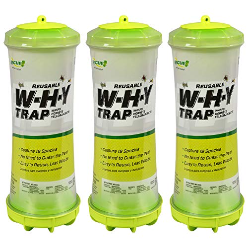 RESCUE! WHY Trap for Wasps, Hornets, & Yellowjackets – Hanging Outdoor Trap - 3 Traps