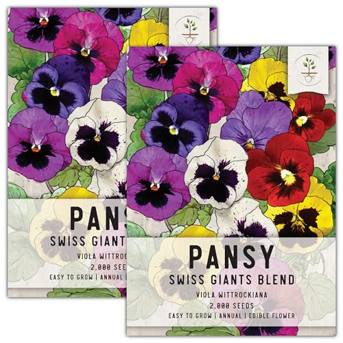 Seed Needs, Swiss Giants Pansy Seeds - 600 Heirloom Seeds for Planting Viola wittrockiana - Annual, Edible Flowers, Attracts Butterflies (2 Packs)